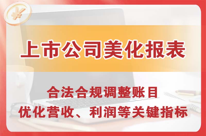 海丰上市公司美化报表